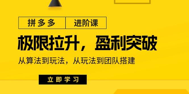 拼多多·进阶课：极限拉升/盈利突破：从算法到玩法 从玩法到团队搭建-18节-test