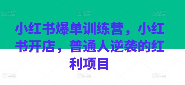 小红书爆单训练营，小红书开店，普通人逆袭的红利项目-test