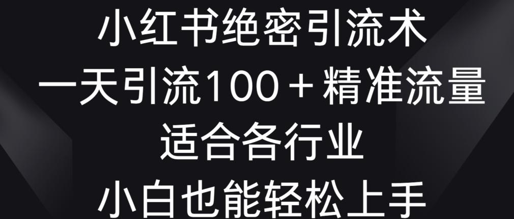 小红书绝密引流术，一天引流100+精准流量，适合各个行业，小白也能轻松上手【揭秘】-test