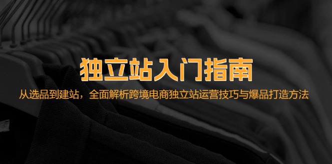 独立站入门指南：从选品到建站，全面解析跨境电商独立站运营技巧与爆品…-test