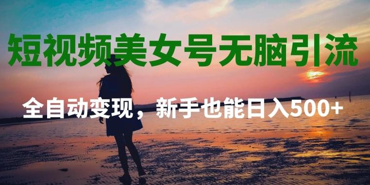 短视频美女号无脑引流，全自动变现，新手也能日入500+-test