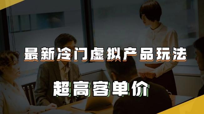 最新冷门虚拟产品玩法，超高客单价，月入2-3万＋【揭秘】-test