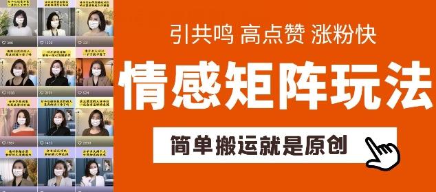 简单搬运，情感矩阵玩法，涨粉速度快，可带货，可起号【揭秘】-test