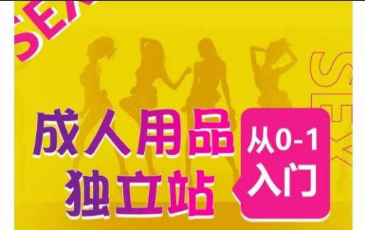 成人用品独立站从0-1入门，成品独立站运营全流程教学，七大好卖成品独立站推荐-test