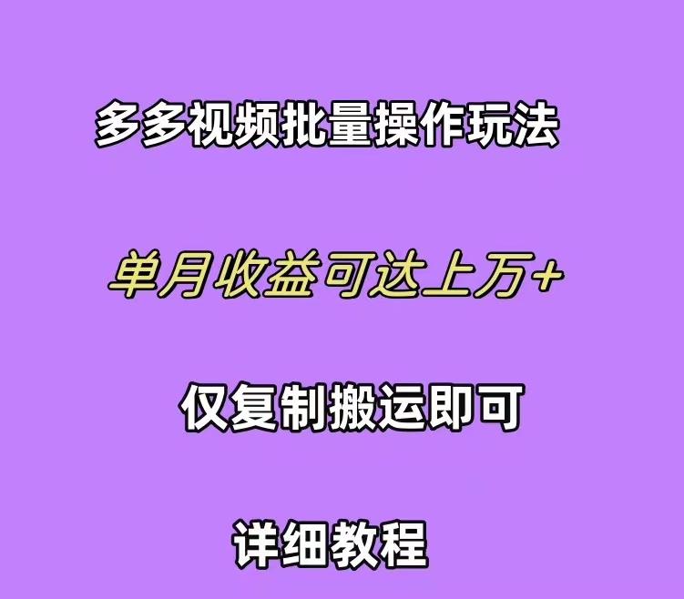 (10029期)拼多多视频带货快速过爆款选品教程 每天轻轻松松赚取三位数佣金 小白必…-test