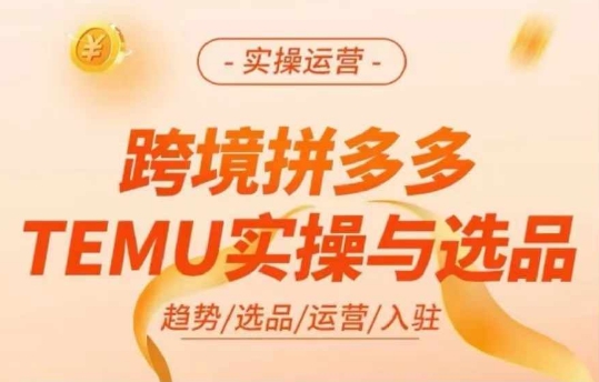 跨境拼多多TEMU实操与选品，多多temu跨境选品运营实操-test