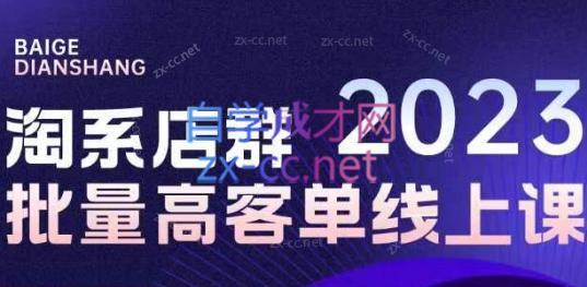 白戈电商·23年淘系批量高客单+24年全域电商矩阵-test
