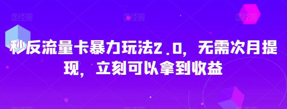 秒反流量卡暴力玩法2.0，无需次月提现，立刻可以拿到收益【揭秘】-test
