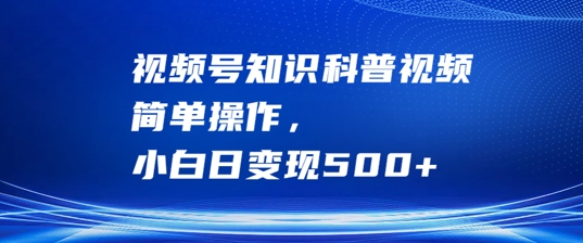 视频号知识科普视频，简单操作，小白日变现500+【揭秘】-test