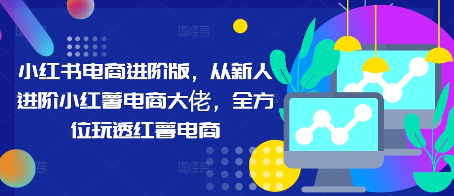 小红书电商进阶版，从新人进阶小红薯电商大佬，全方位玩透红薯电商-test