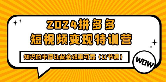 (9817期)2024拼多多短视频变现特训营，知识的丰厚比起金钱更可靠(11节课)-test
