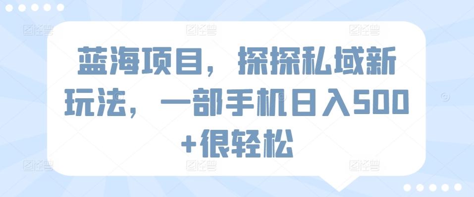 蓝海项目，探探私域新玩法，一部手机日入500+很轻松【揭秘】-test