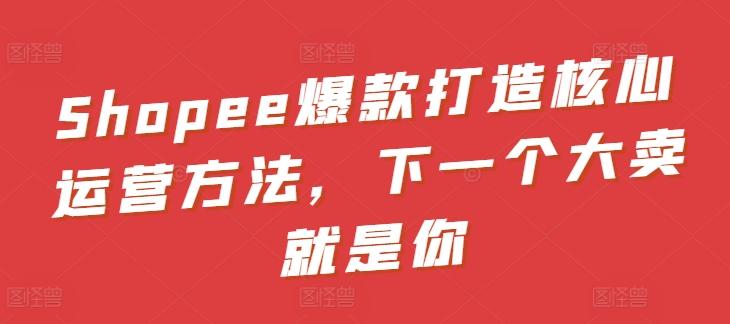 Shopee爆款打造核心运营方法，下一个大卖就是你-test