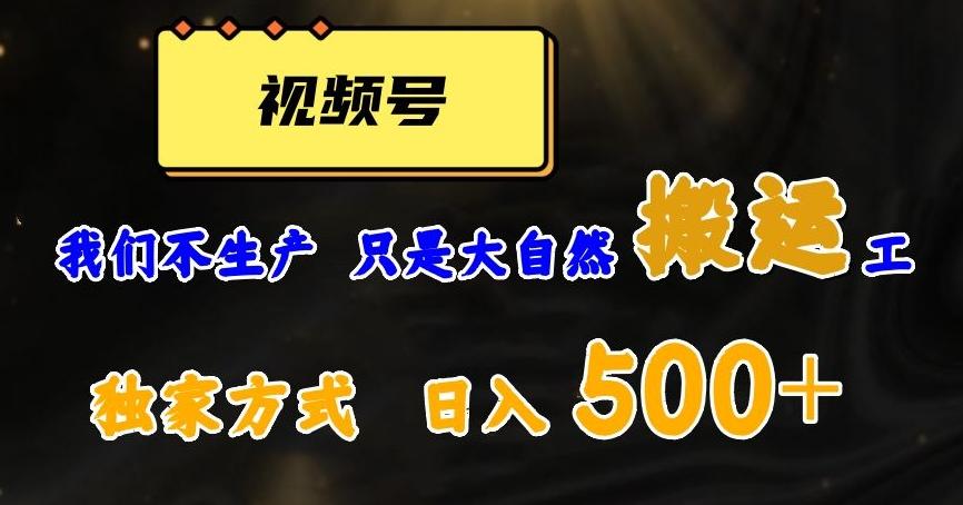 视频号轻松搬运日赚500+，一个1分钟1条原创视频【揭秘】-test