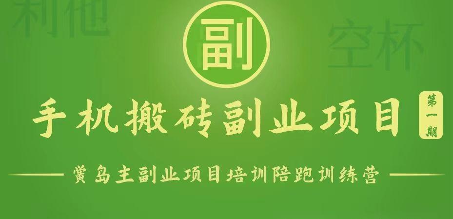 手机搬砖小副业项目训练营1.0，能用手机做的简单小副业-test