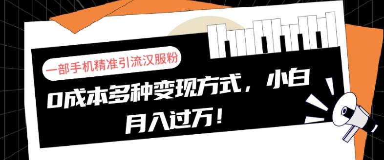 一部手机精准引流汉服粉，0成本多种变现方式，小白月入过万！-test
