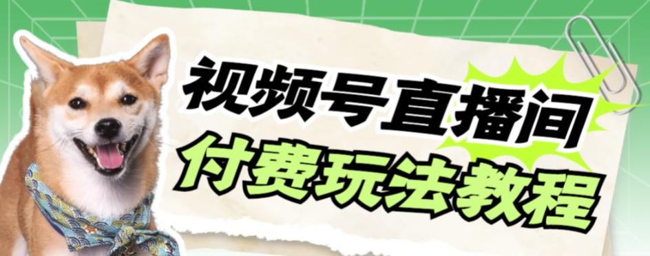 视频号美女付费无人直播，轻松日入500+【详细玩法教程】-test