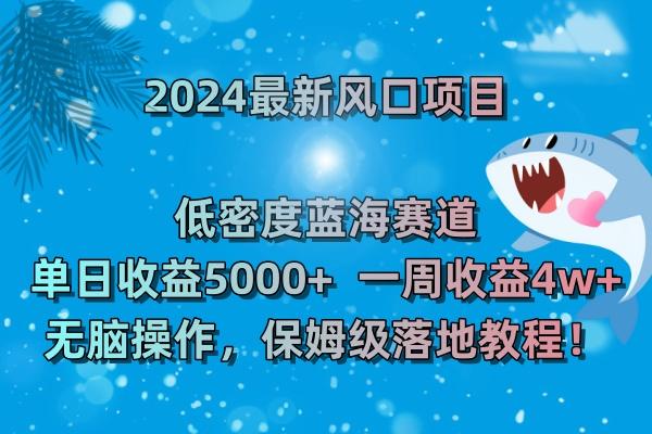 (8545期)2024最新风口项目 低密度蓝海赛道，日收益5000+周收益4w+ 无脑操作，保…-test