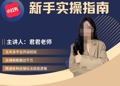 君君-小红书电商从入门到精通，新手实操指南-test