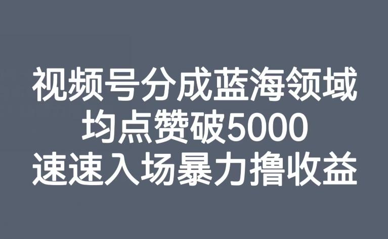 视频号分成蓝海领域，均点赞破5000，速速入场暴力撸收益-test