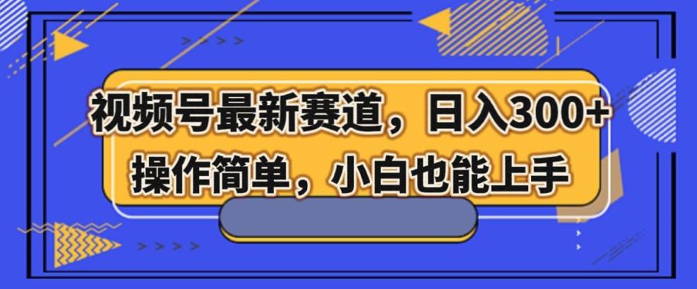 视频号最新赛道，日入300+，新手小白轻松掌握-test