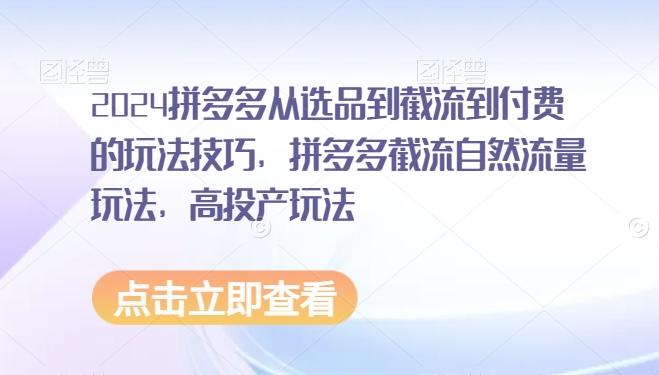 2024拼多多从选品到截流到付费的玩法技巧，拼多多截流自然流量玩法，高投产玩法-test