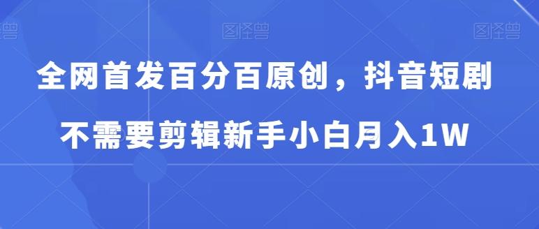 全网首发百分百原创，抖音短剧不需要剪辑新手小白月入1W-test
