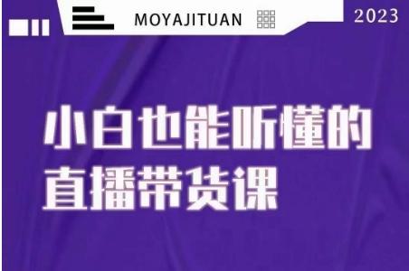 大威本威·能听懂的直播带货课，小白也能听懂，20节完整-test
