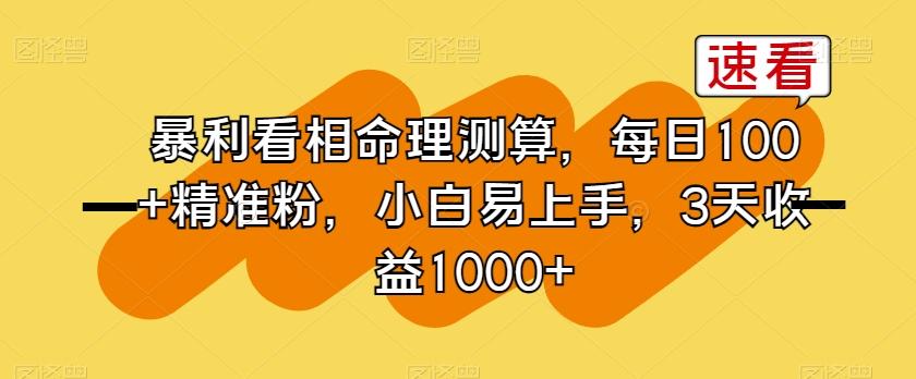 暴利看相命理测算，每日100+精准粉，小白易上手，3天收益1000+【揭秘】-test