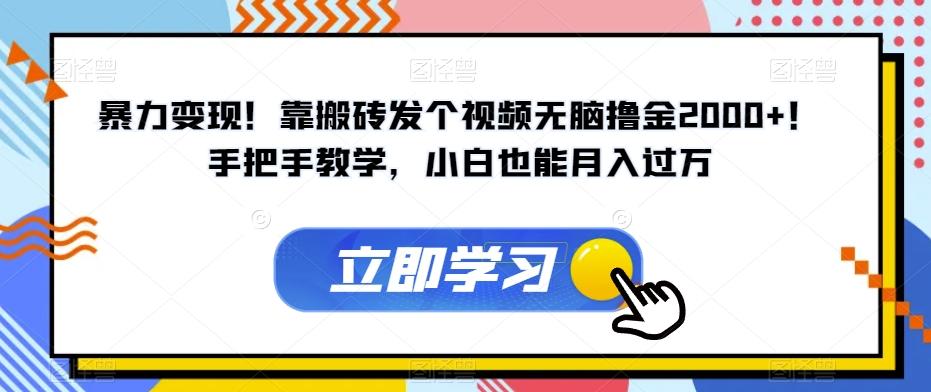 暴力变现！靠搬砖发个视频无脑撸金2000+！手把手教学，小白也能月入过万【揭秘】-test