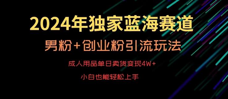 2024年独家蓝海赛道，成人用品单日卖货变现4W+，男粉+创业粉引流玩法，不愁搞不到流量【揭秘】-test