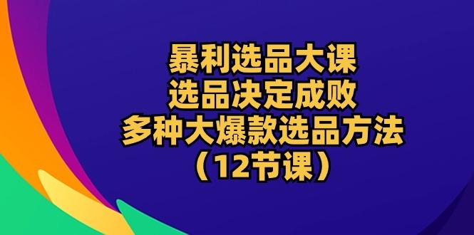 暴利 选品大课：选品决定成败，教你多种大爆款选品方法(12节课-test