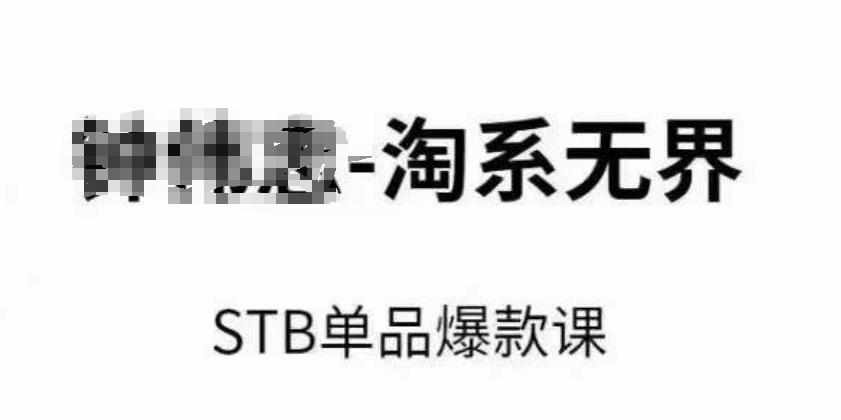 淘系无界STB单品爆款课(2024)，付费带动免费的核心逻辑，万相台无界关键词推广/精准人群的核心-test