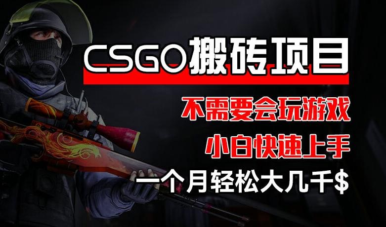 CSGO 装备搬砖项目，操作简单，不需要会玩游戏，小白也能快速上手，一个月轻松大几千【揭秘】-test