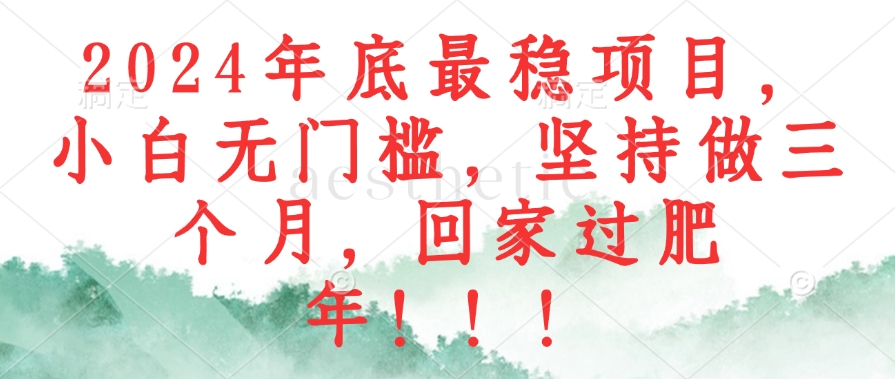 2024年底最稳项目，小白无门槛，坚持做三个月，回家过肥年！！！-test
