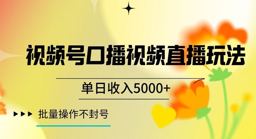 视频号囗播视频直播玩法，单日收入5000+，批量操作不封号【揭秘】-test