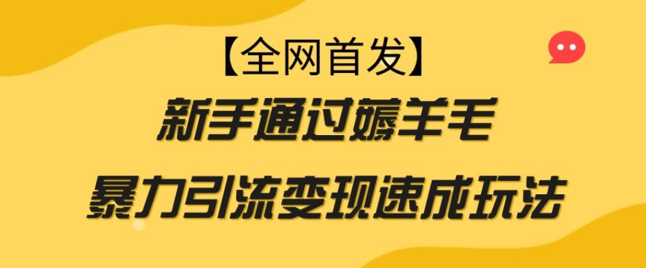 【全网首发】新手通过薅羊毛暴力引流变现速成玩法-test