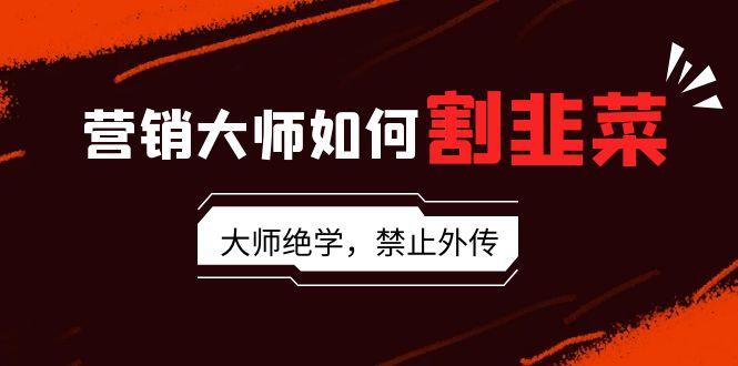 营销大师如何割韭菜：流量大师/讲故事大师/话术大师/卖货大师/成交大师/…-test