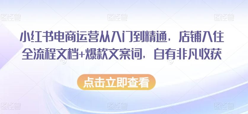 小红书电商运营从入门到精通，店铺入住全流程文档+爆款文案词，自有非凡收获-test