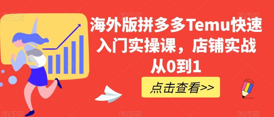 海外版拼多多Temu快速入门实操课，店铺实战从0到1-test