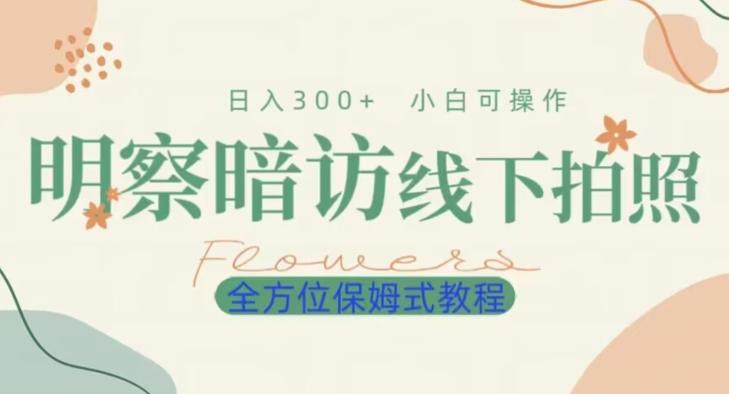 明拍暗拍项目0成本投入日入300+小白可操作保姆式全方位教程-test