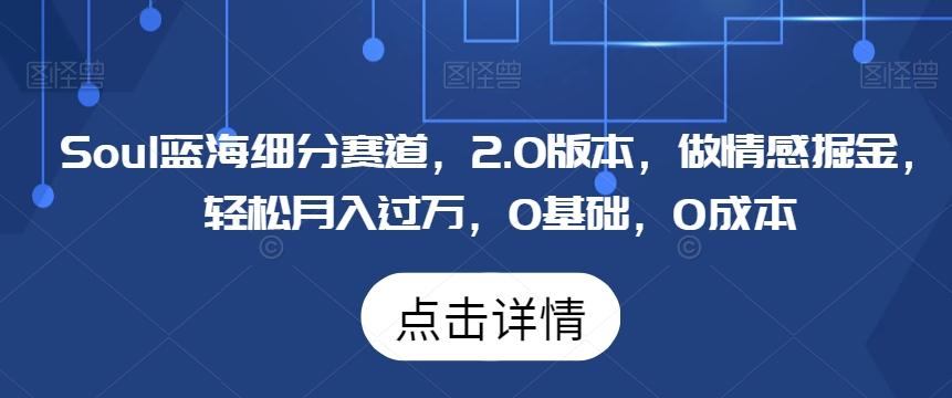 Soul蓝海细分赛道，2.0版本，做情感掘金，轻松月入过万，0基础，0成本-test