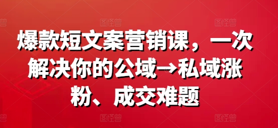 爆款短文案营销课，一次解决你的公域→私域涨粉、成交难题-test