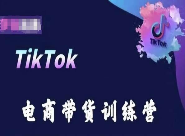 TikTok电商带货训练营，跟随时代潮流，跨境掘金-test