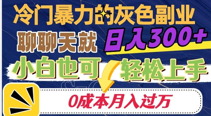 冷门暴利的副业项目，聊聊天就能日入300+，0成本月入过万【揭秘】-test
