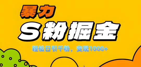 单人单机日引千粉，变现1k+，S粉流量掘金计划攻略【揭秘】-test