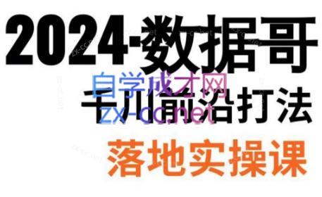 数据哥·2024年千川前沿打法落地实操课-test
