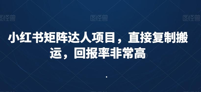 小红书矩阵达人项目，直接复制搬运，回报率非常高-test