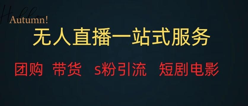 无人直播一站式服务（教程以及变现方式）-test