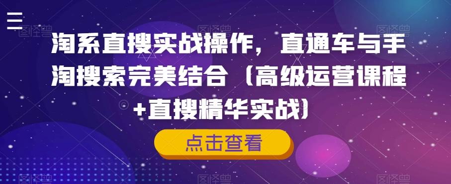淘系直搜实战操作，直通车与手淘搜索完美结合（高级运营课程+直搜精华实战）-test